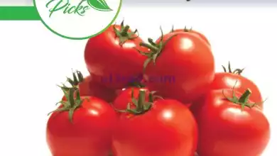 el3rod.com00001-1160