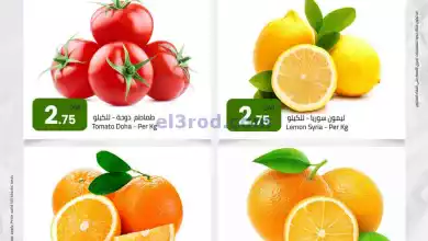 el3rod.com00001-1191