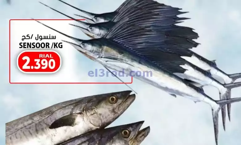 el3rod.com00001-1277