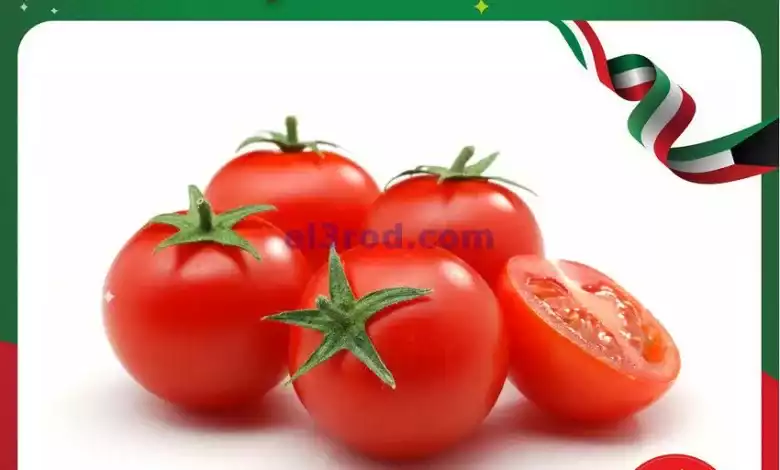 el3rod.com00001-1307