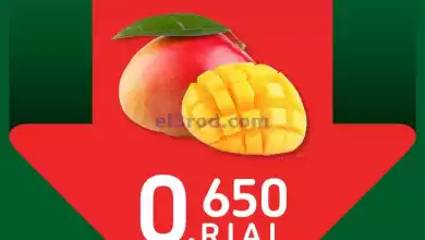 el3rod.com00001-1331