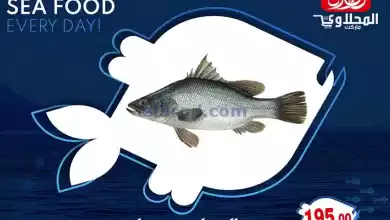 el3rod.com00001-1411