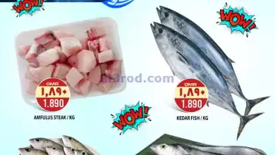 el3rod.com00001-1435