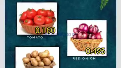 el3rod.com00001-1551