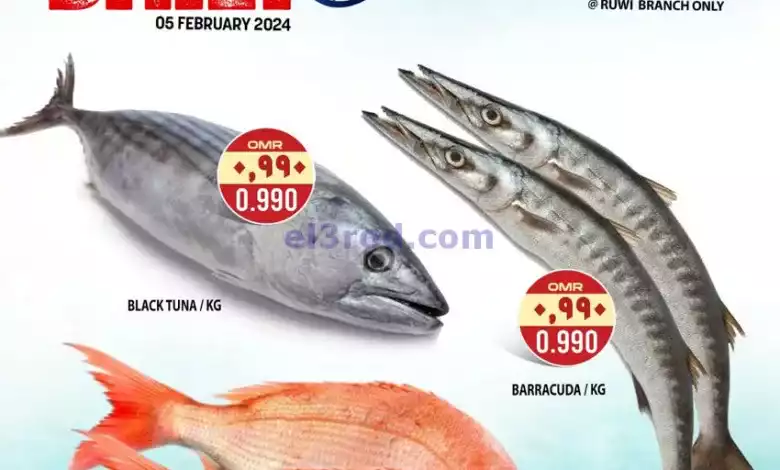 el3rod.com00001-166