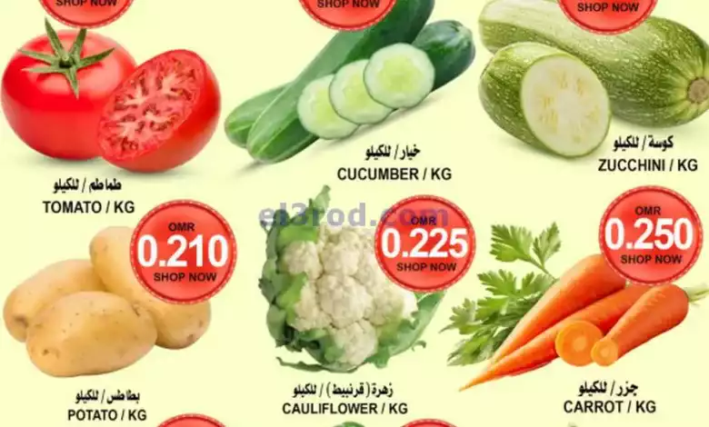 el3rod.com00001-233