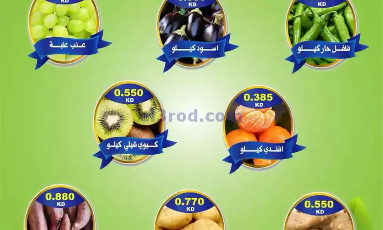 el3rod.com00001-249