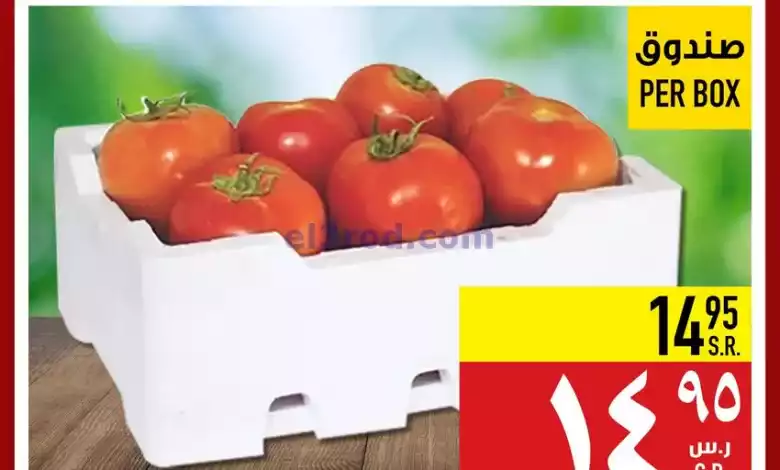 el3rod.com00001-323