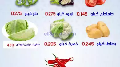 el3rod.com00001-446