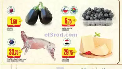 el3rod.com00001-455