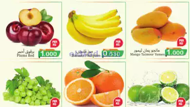 el3rod.com00001-485