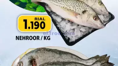 el3rod.com00001-510