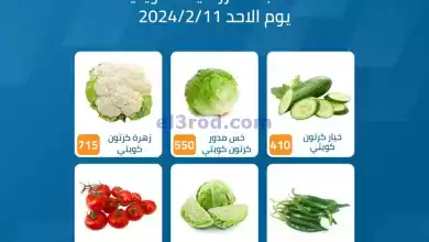 el3rod.com00001-531