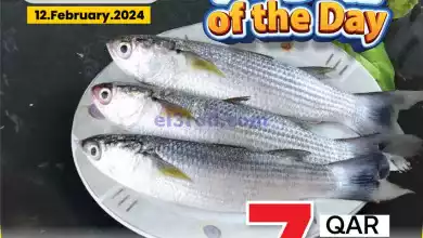 el3rod.com00001-569