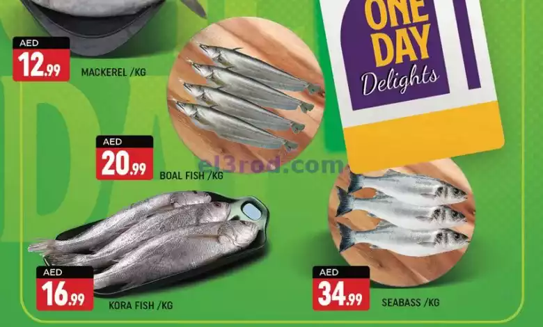 el3rod.com00001-571