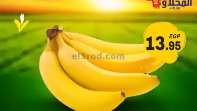 el3rod.com00001-611