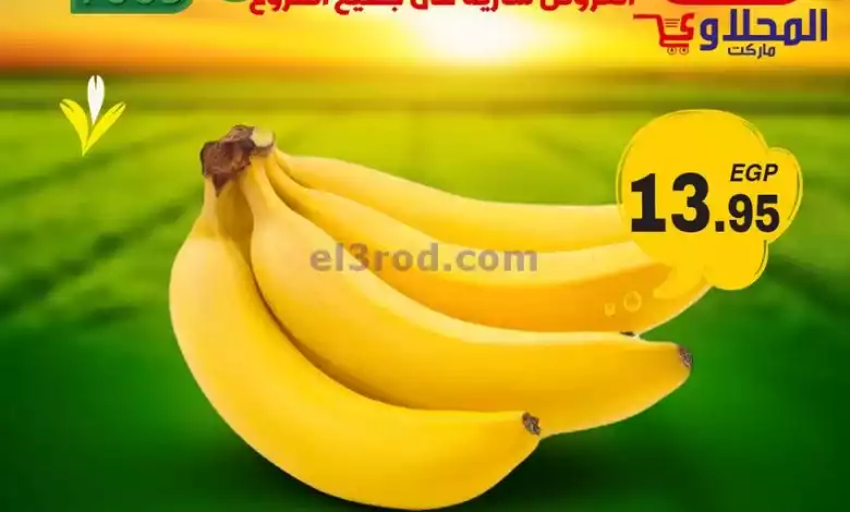 el3rod.com00001-611