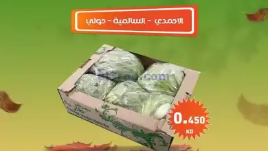 عروض رامز السالمية حولى والأحمدى|3-2-2024 el3rod.com00001-63