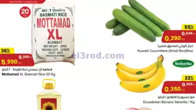 el3rod.com00001-658