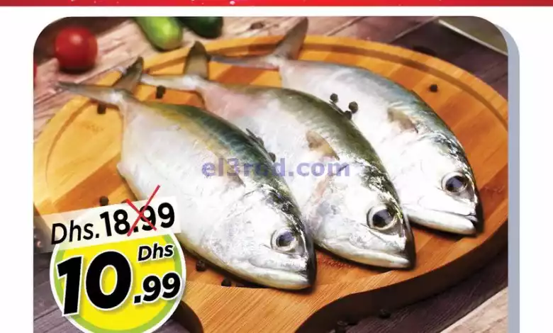 el3rod.com00001-659