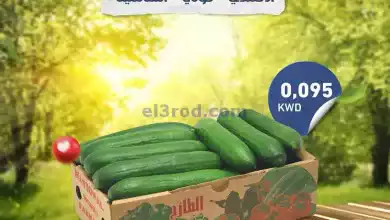 el3rod.com00001-859