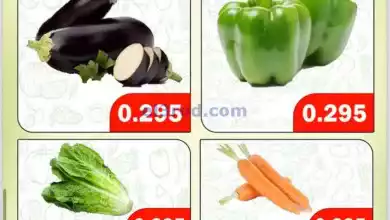 el3rod.com00001-990