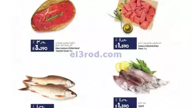 el3rod.com00002-41