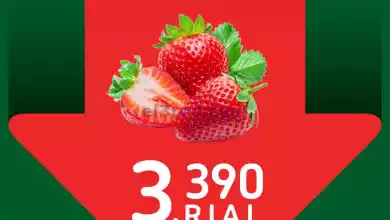 el3rod.com00008-356