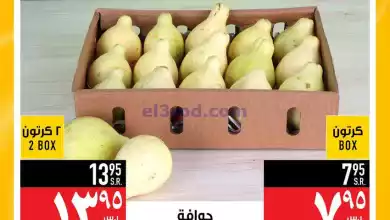 el3rod.com00008-37