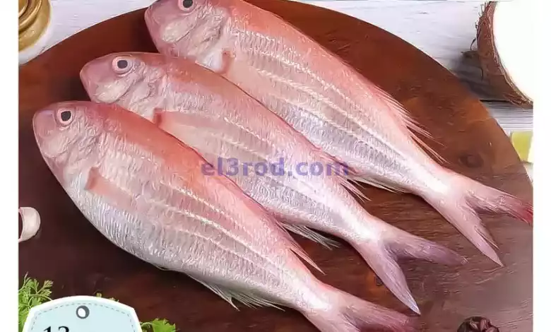 el3rod.com00009-509