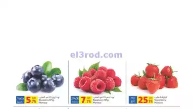 el3rod.com00009-73