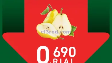 el3rod.com00001-116