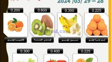 el3rod.com00001-1246