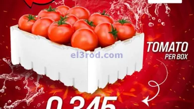el3rod.com00001-1394