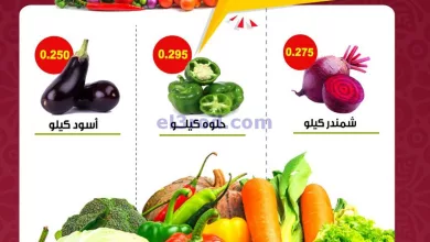 el3rod.com00001-429