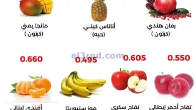 el3rod.com00001-438