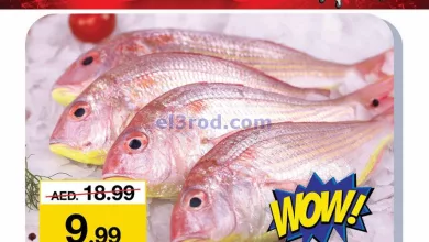 el3rod.com00001-493