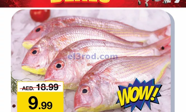 el3rod.com00001-493