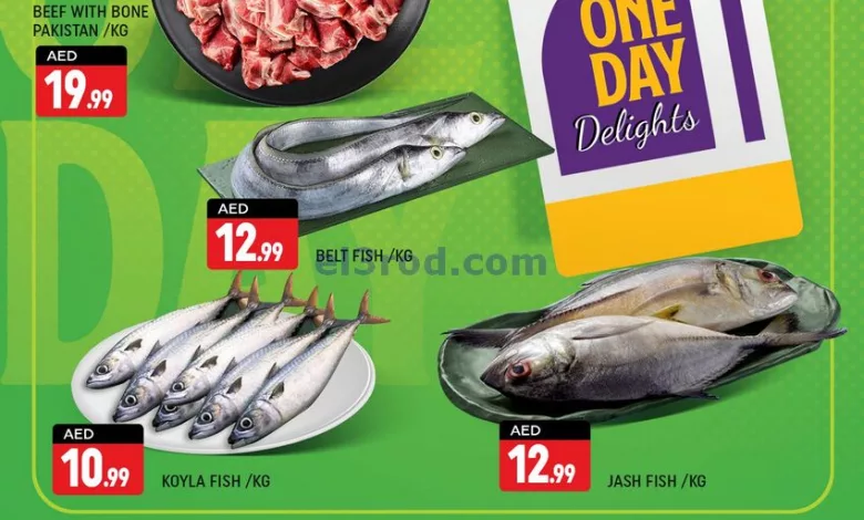 عروض شكلان الامارات|13-3-2024|الارعبعاء el3rod.com00001-495