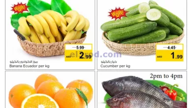 عروض مجلة نستو مويلح الشارقة|3-3-2024|الاحد el3rod.com00001
