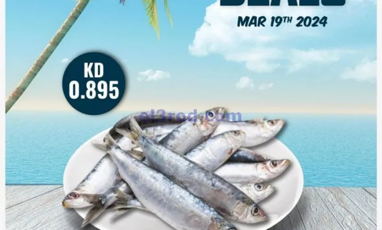 el3rod.com00001-826
