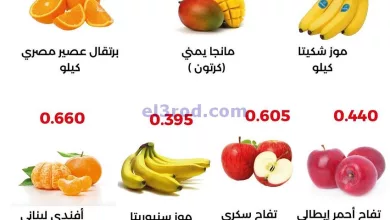 el3rod.com00001-828