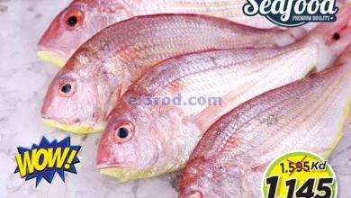 el3rod.com00002-1226