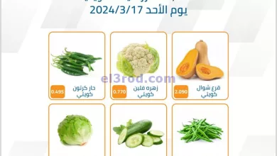 el3rod.com00002-626