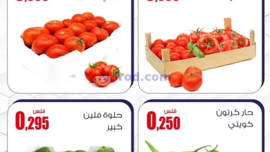 el3rod.com00001-1051