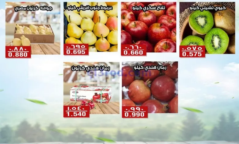 el3rod.com00001-1078