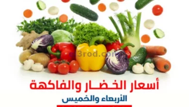 el3rod.com00001-143