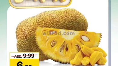el3rod.com00001-1518