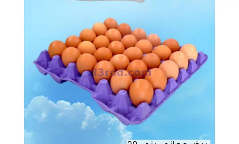 عروض جراند هايبر ماركت الحيل وروي عمان|1-4-2024 el3rod.com00001-32