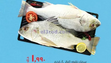 el3rod.com00001-504